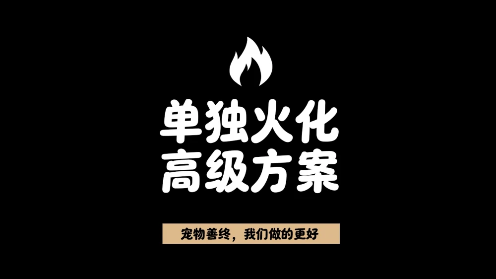 追忆尊享方案（全程陪同+高端纪念品+头七仪式）