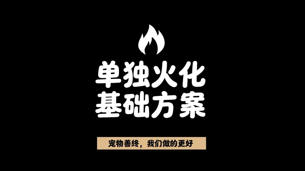 基础善终方案（一宠一送别+独立火化）